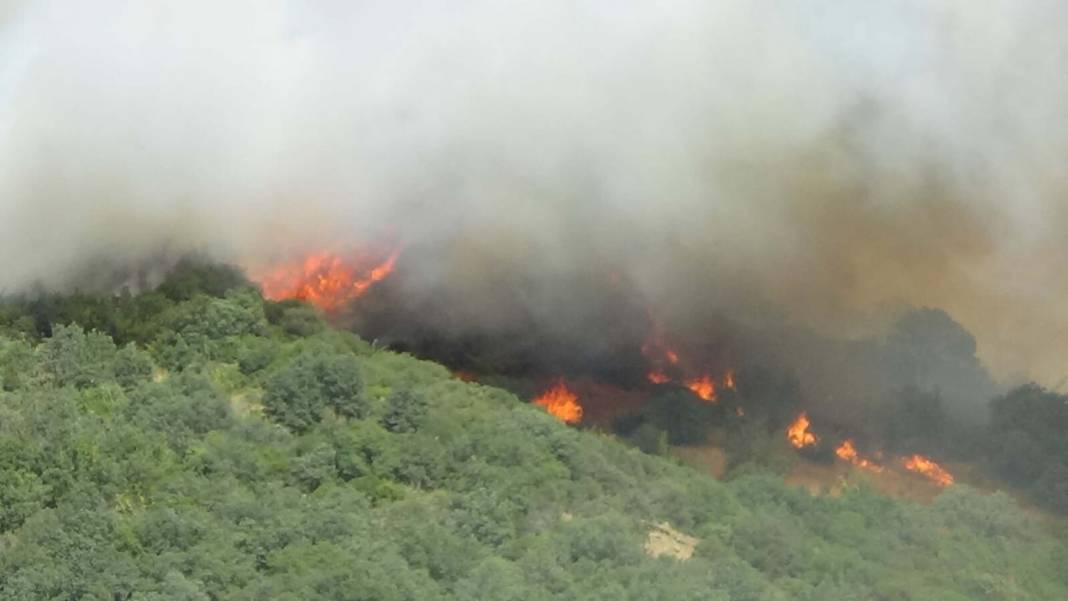 Çanakkale'de orman yangını: Havadan karadan müdahale ediliyor 9